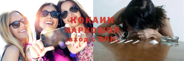 ГАЛЛЮЦИНОГЕННЫЕ ГРИБЫ Алзамай