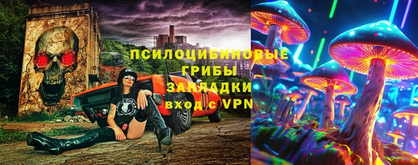 ГАЛЛЮЦИНОГЕННЫЕ ГРИБЫ Алзамай